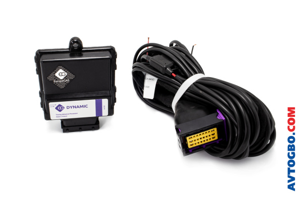VRT-EG Dynamic