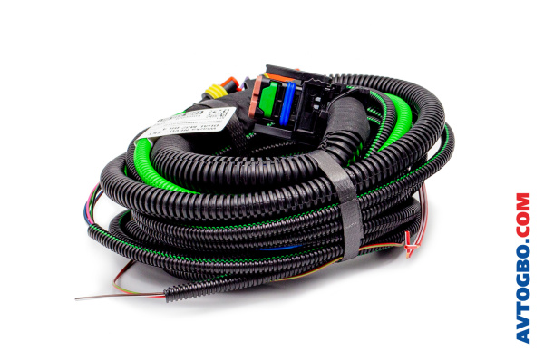 2305340001(1) 2305340001(1)