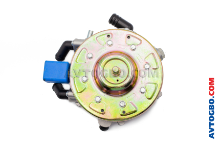 k01.001010IG (5)